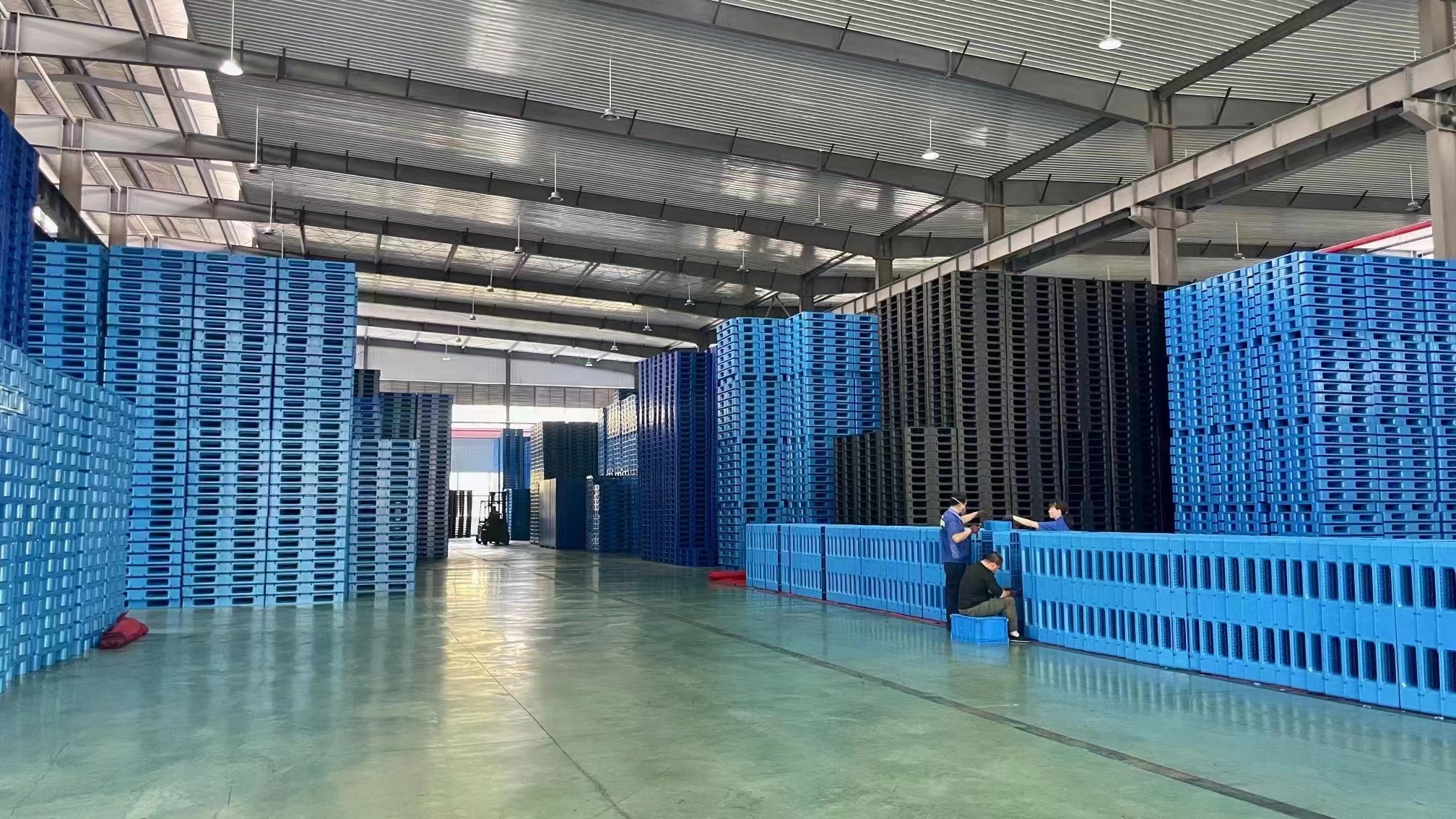 江蘇www.91組織員工赴重慶力優分（fèn）廠參觀學習